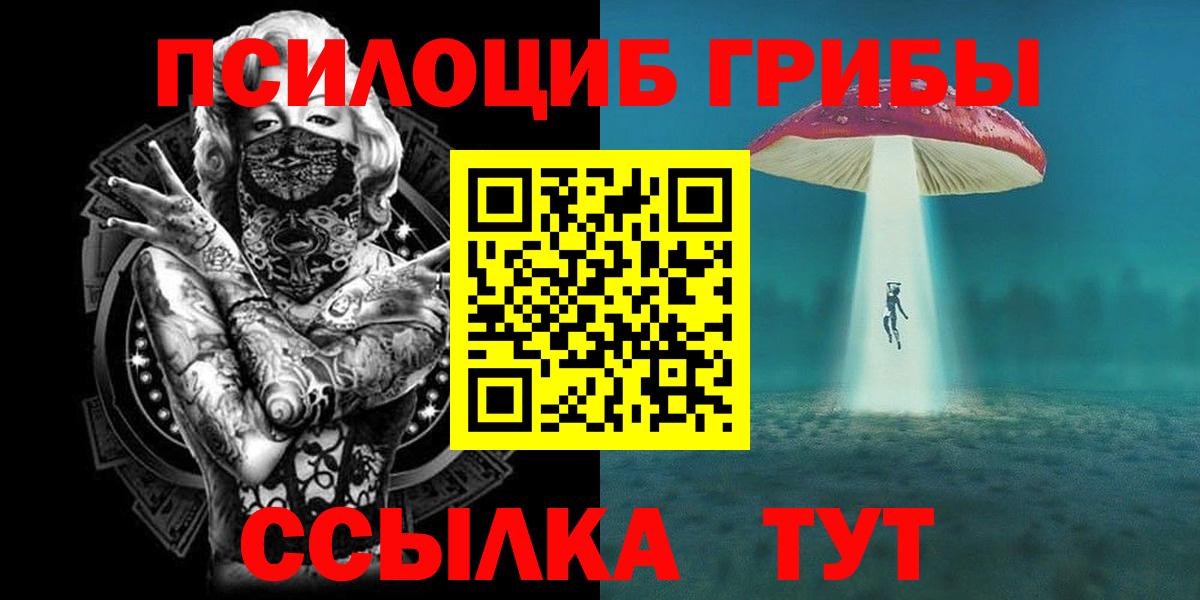 Галлюциногенные грибы MAGIC MUSHROOMS Заволжье